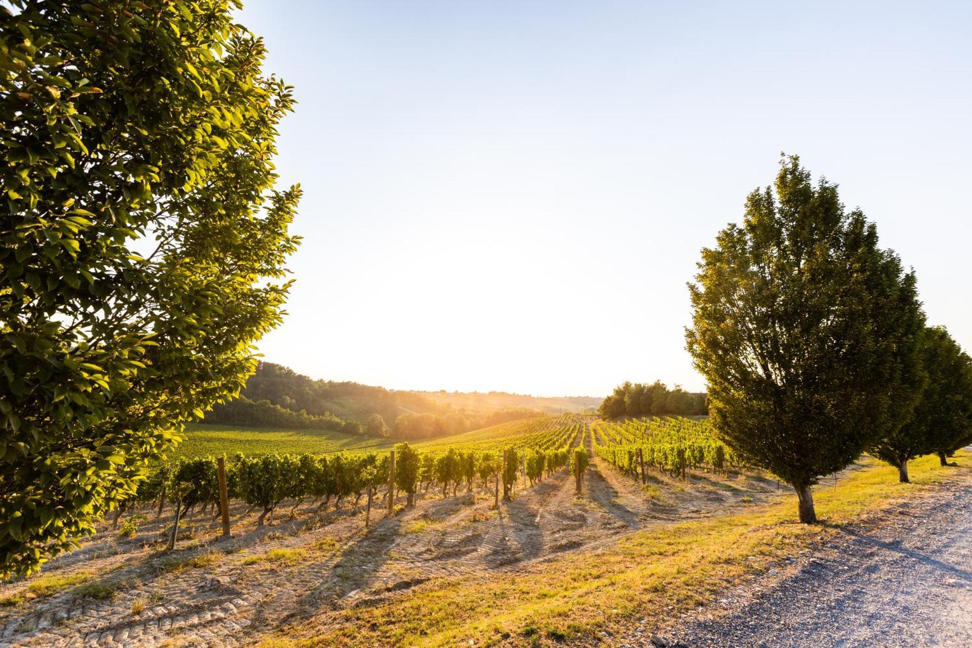 Tenuta La Meirana Gavi Villa Buitenkant foto