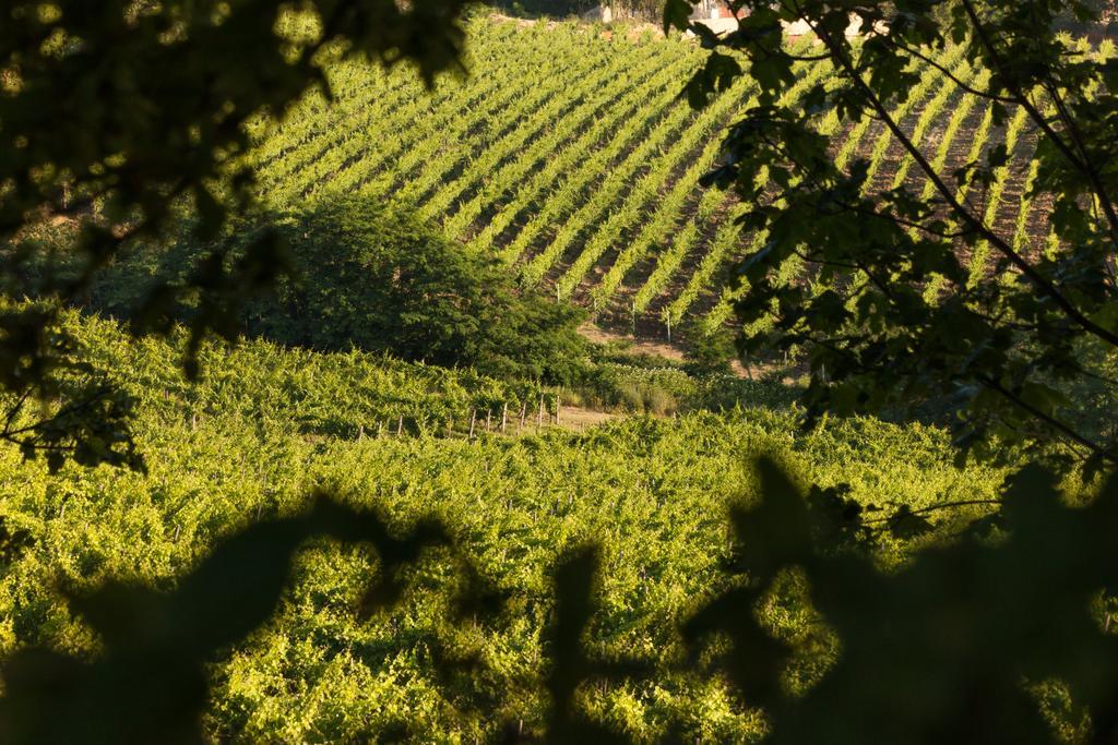 Tenuta La Meirana Gavi Villa Buitenkant foto