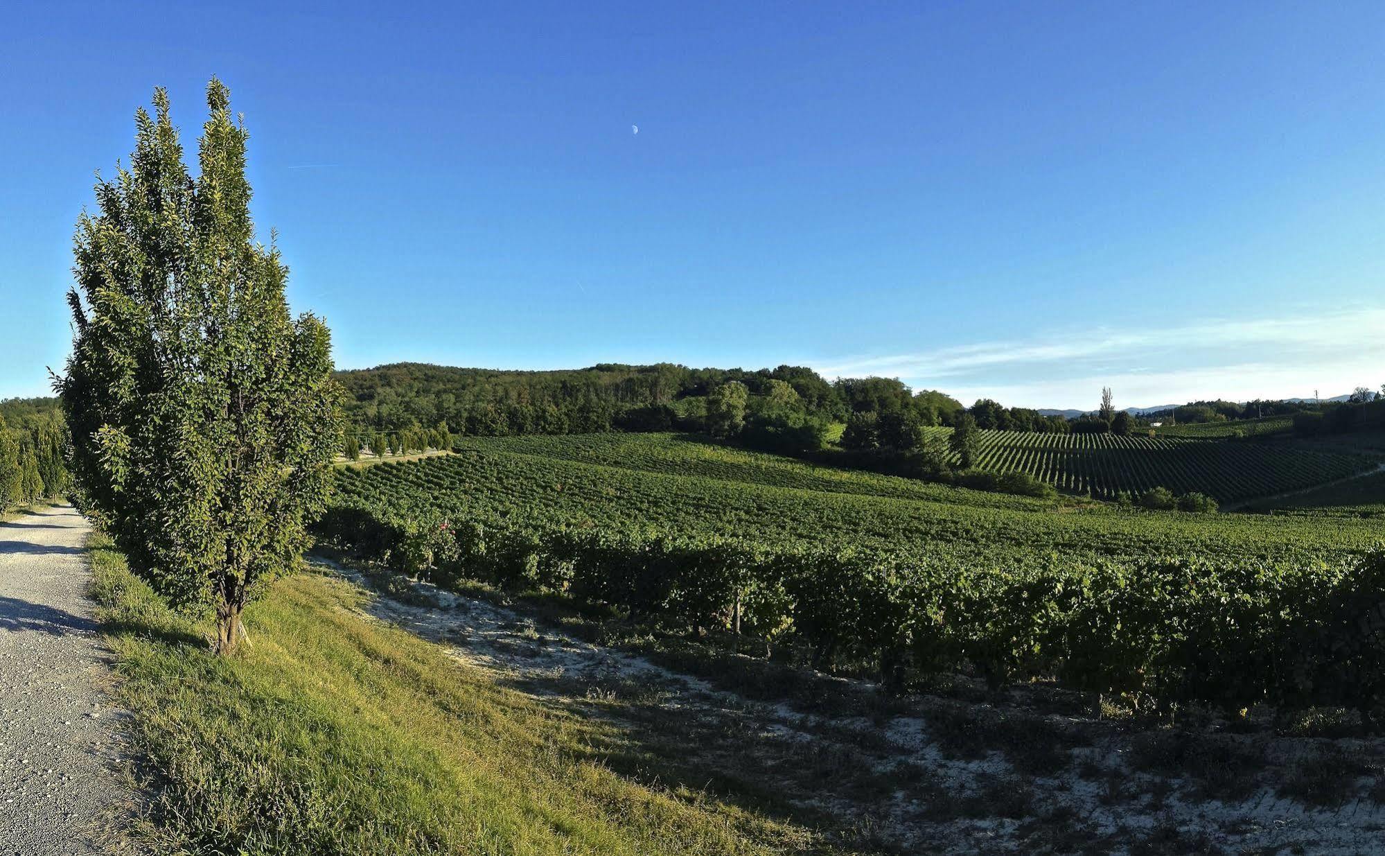 Tenuta La Meirana Gavi Villa Buitenkant foto